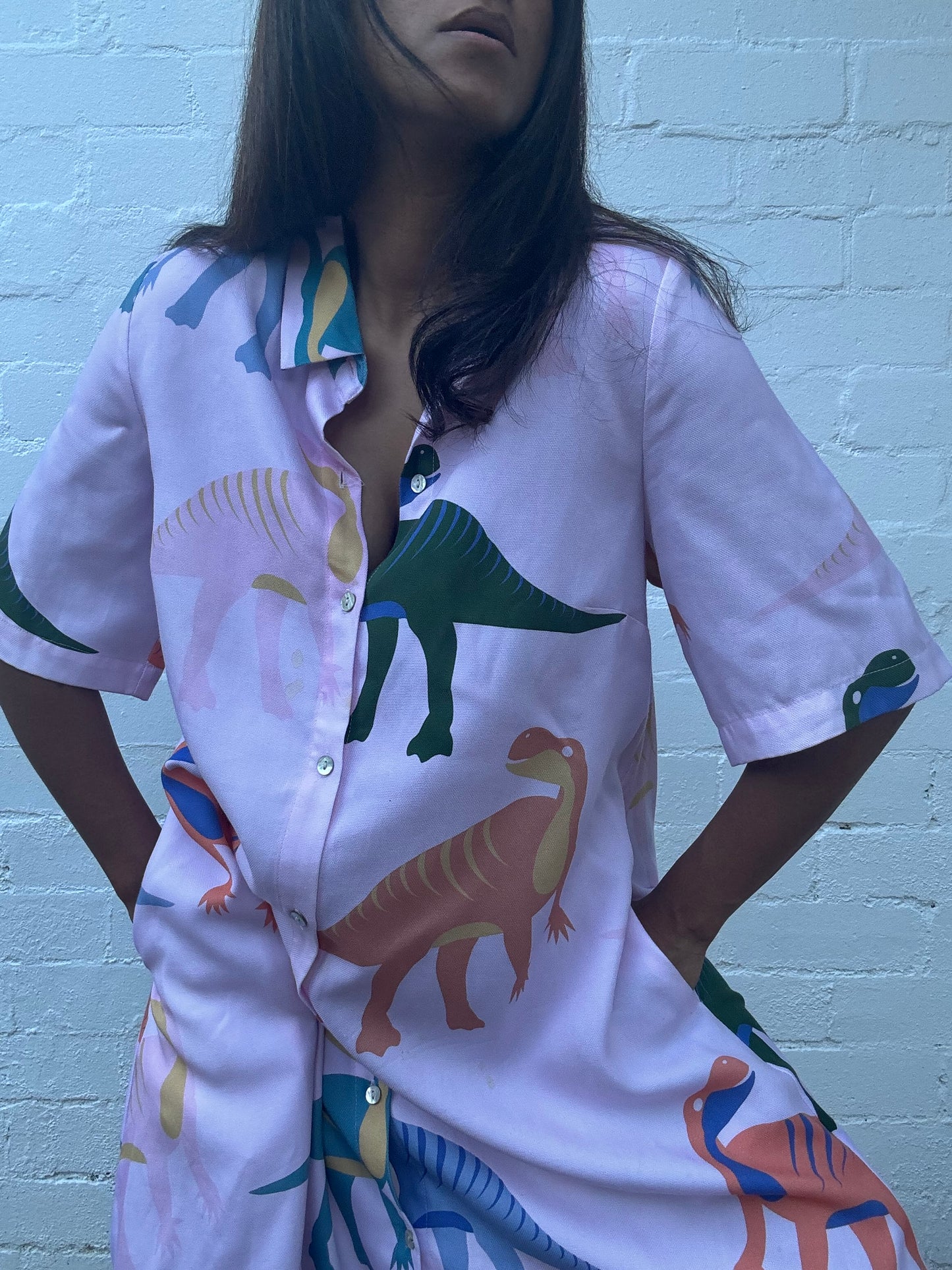 Dinosaur Print Shirt Dress