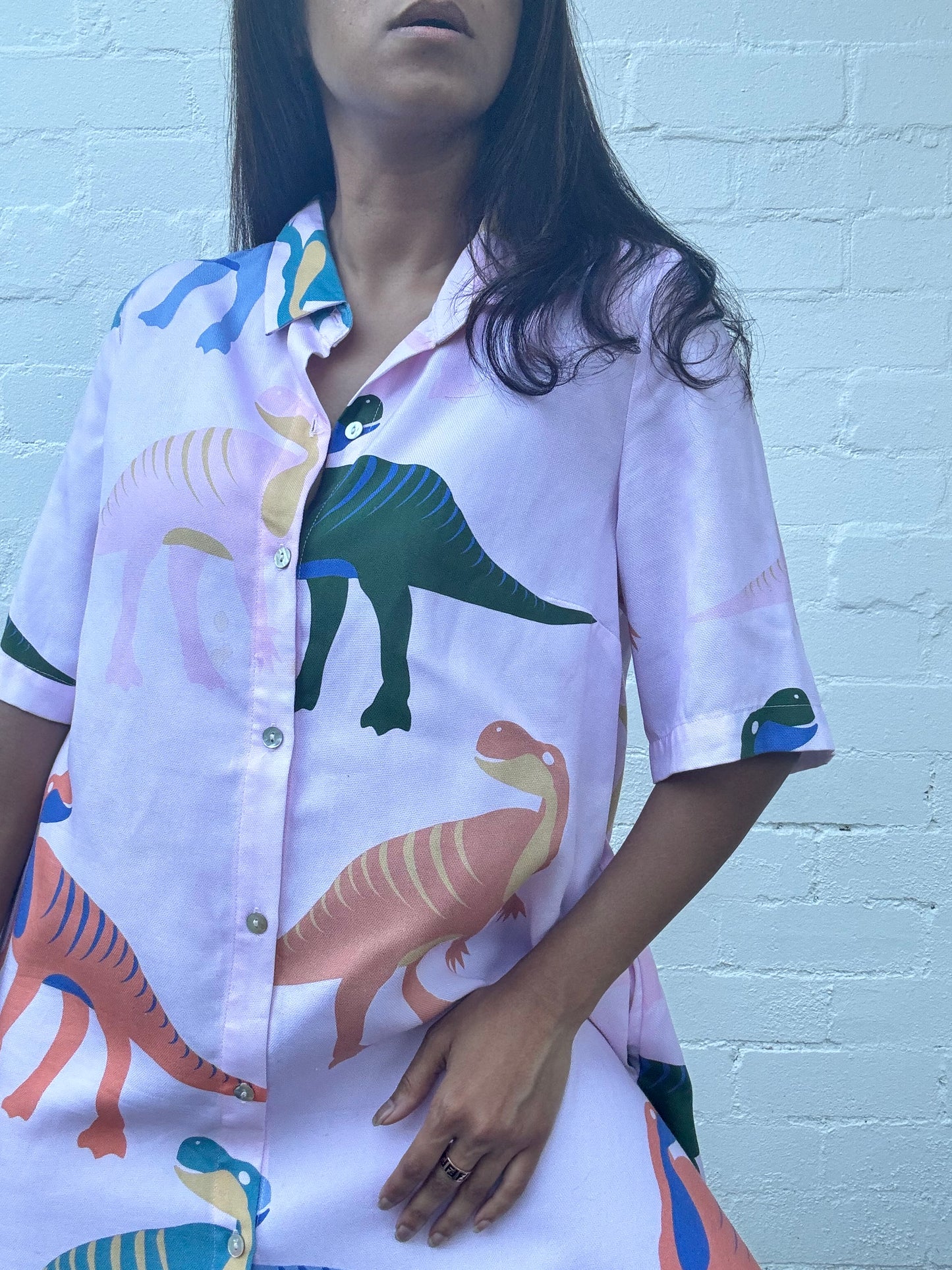 Dinosaur Print Shirt Dress